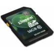 16GB Secure Digital SDHC Kingston - Class 10 (D743)