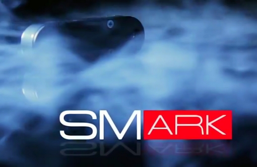 SMARK Logo